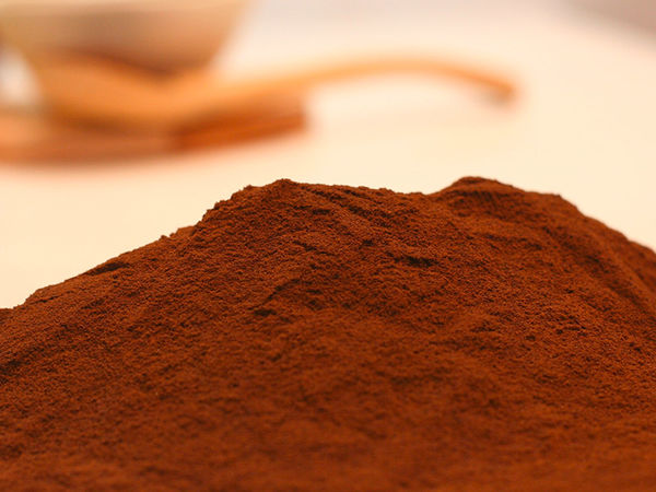 cocoa powder