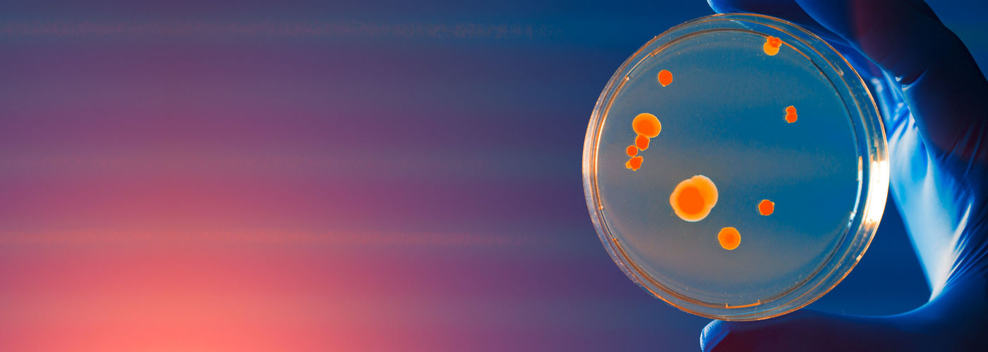 Cell culture media
