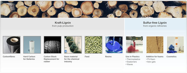 Lignin use in various areas