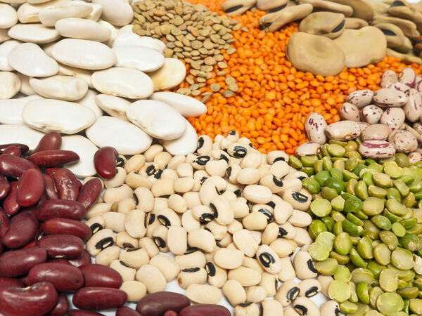Legumes