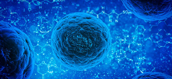 Highly active pharmaceutical ingredients