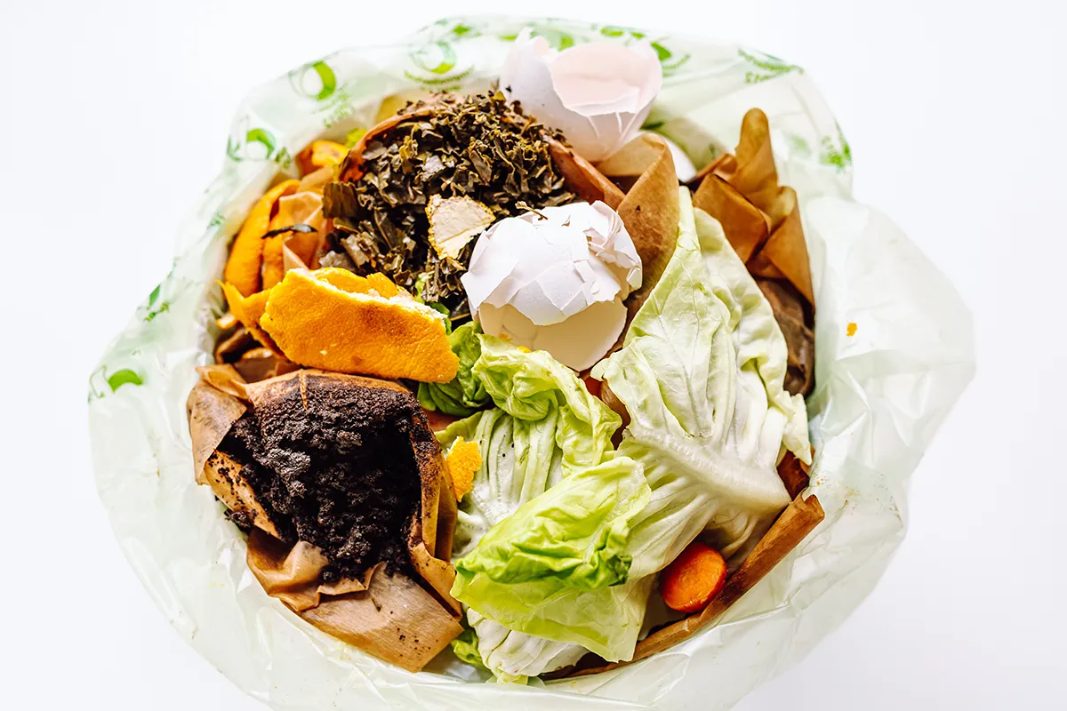 Compostable organic waste bin liner