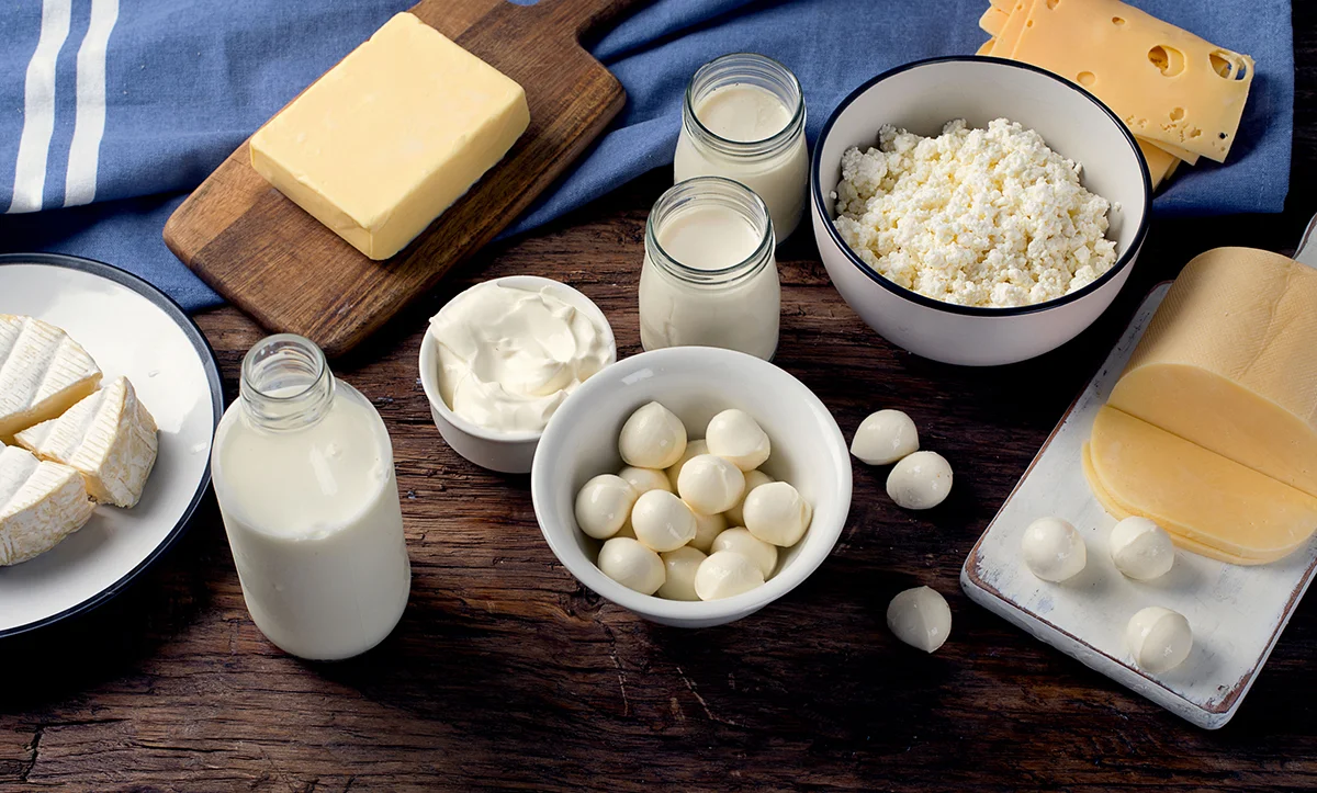 Lactose and dairy products
