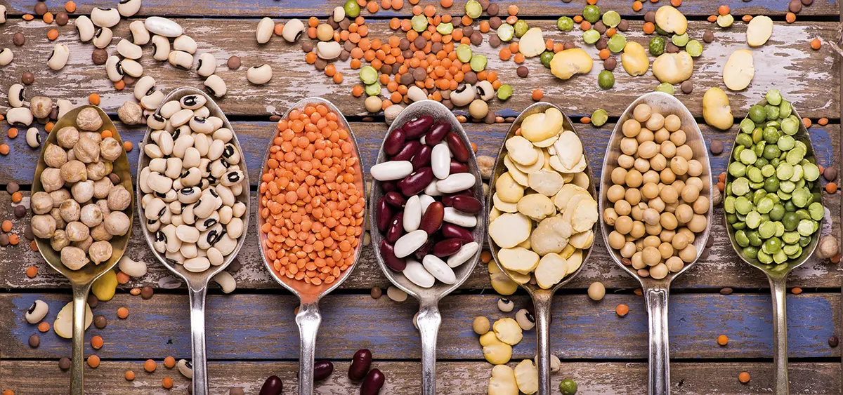 Plant-based food